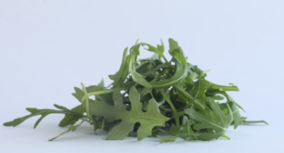 Rucola 1 kg