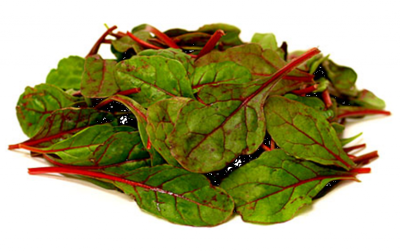 Red Chard / bietensla bakje 125 gram