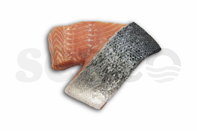 Zalmfilet met vel à 1.6 kg *Bestellen voor 12:00 = volgende dag leveren