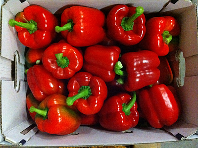 Paprika rood 5 kg (klasse 1)