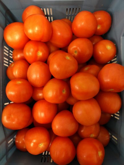 Tomaten los 6 kg ACTIEPRIJS