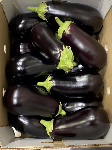 Aubergine 5 kg