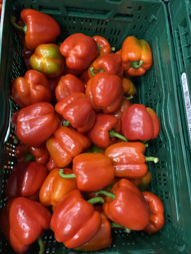 PAPRIKA ROOD UGLY 10 kg