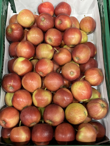 Appels Jonagold (groot 80-90)  5 kg