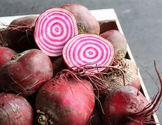 Chioggia bieten