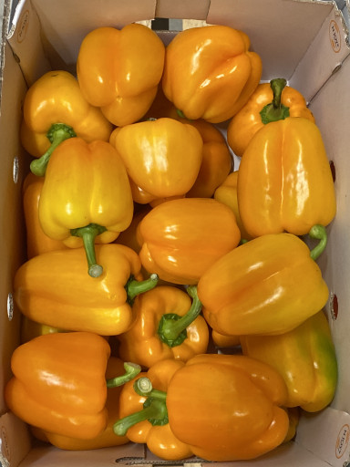 Paprika oranje 5 kg (klasse 1)