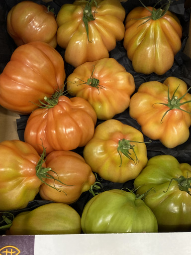 Coeur de Boeuf tomaten