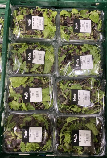 Mesclun (Ready to eat) 8 x 125 gram KIST