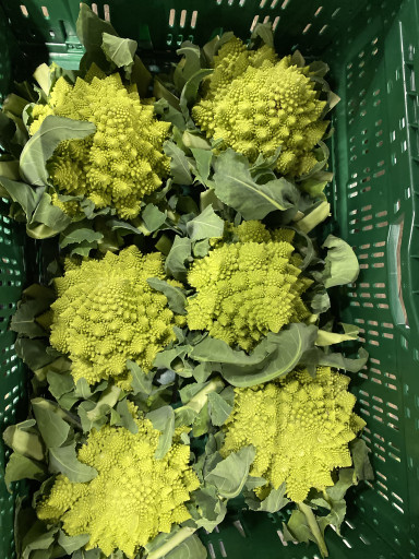 Romanesco