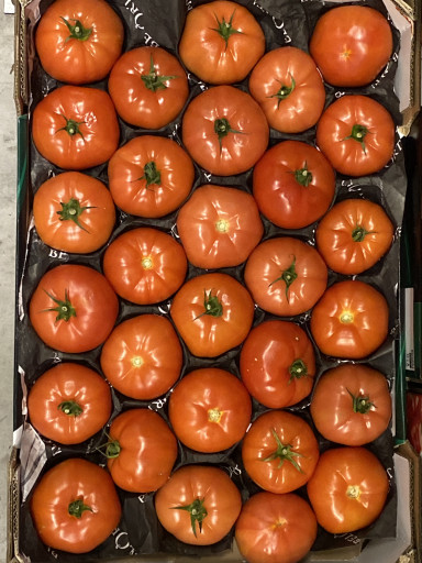 Vlees tomaten 7 kg