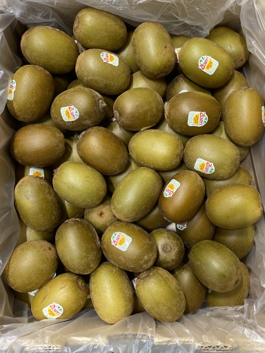 Kiwi SUNGOLD ZESPRI kist 5,5 kg