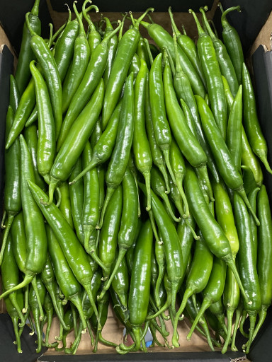 Peper groen per 500 gram